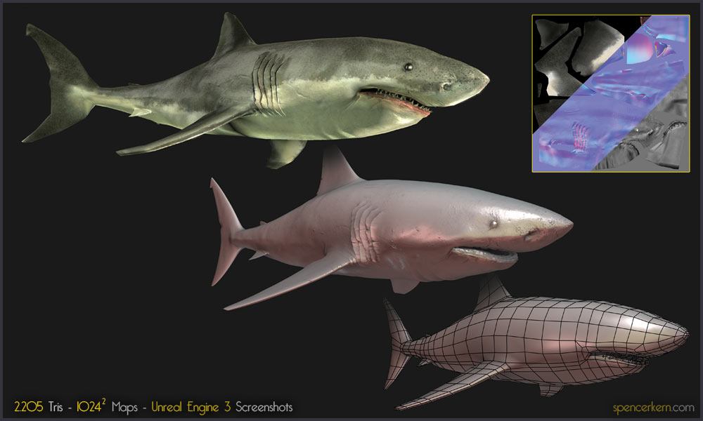 shark